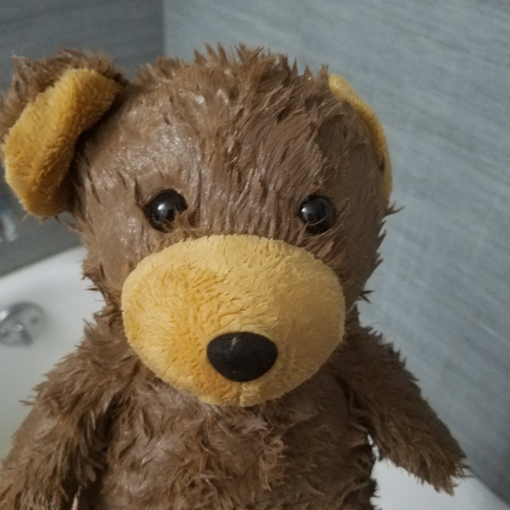 Meet your Posher, BearxBingo